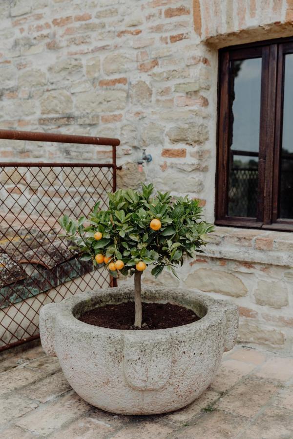 Agriturismo Qui Voglio Monte Roberto Exterior photo